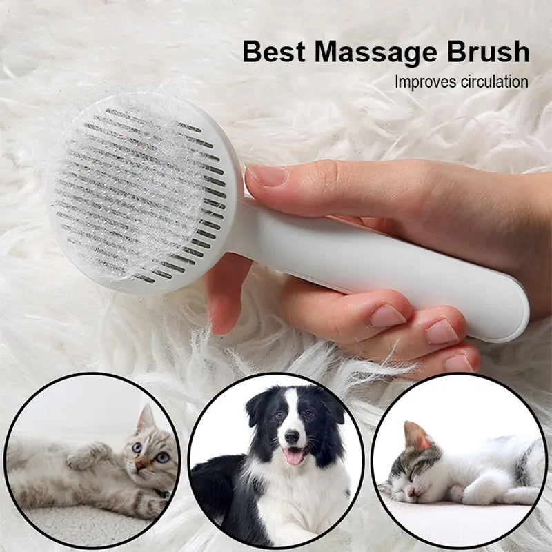 Brosse de toilettage pour animaux , brosse autonettoyante pour chiens, outil de toilettage pour animaux de compagnie(Caniche Wash)
